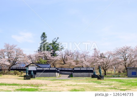 桜咲く後三年の役古戦場 秋田県横手市 桜咲く後三年の役古戦場 秋田県横手市 126146735