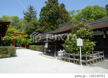 下鴨神社 三井神社 京都市左京区 下鴨神社 三井神社 京都市左京区 126146761