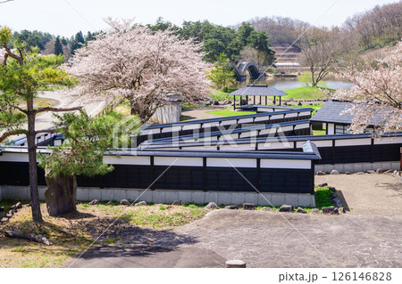 桜咲く後三年の役古戦場 秋田県横手市 桜咲く後三年の役古戦場 秋田県横手市 126146828
