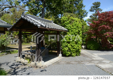 神光院　手水舎　京都市北区西賀茂 126147037