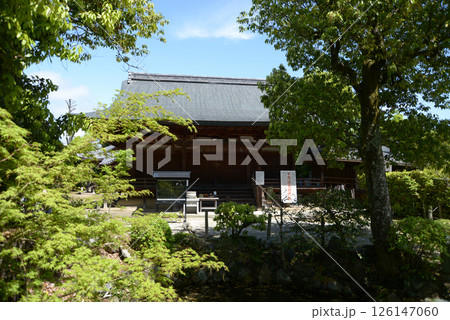 神光院　本堂　京都市北区西賀茂 126147060