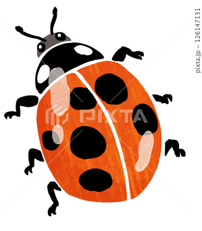 シンプルなテントウムシのベクターイラスト シンプルなテントウムシのベクターイラスト 126147131