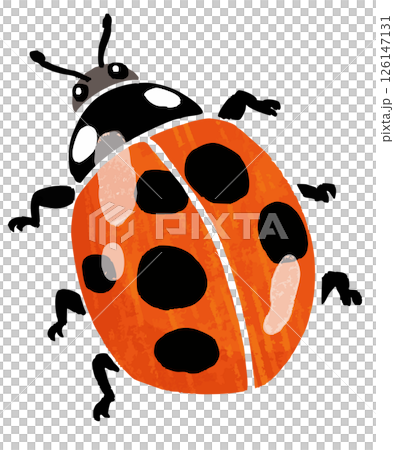 シンプルなテントウムシのベクターイラスト シンプルなテントウムシのベクターイラスト 126147131