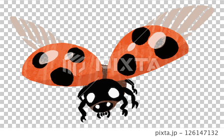 シンプルなテントウムシのベクターイラスト シンプルなテントウムシのベクターイラスト 126147132