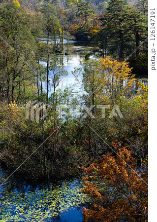 中瀬沼展望台から見る秋の紅葉 裏磐梯の風景 中瀬沼展望台から見る秋の紅葉 裏磐梯の風景 126147191