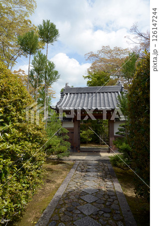 源光庵　参道と総門　京都市北区鷹峯 126147244