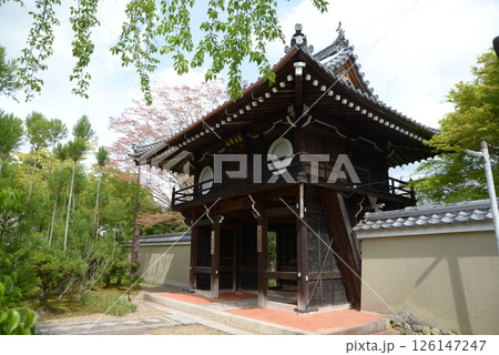 源光庵　山門　京都市北区鷹峯 126147247