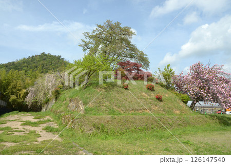 御土居跡　京都市北区鷹峯旧土居町 126147540