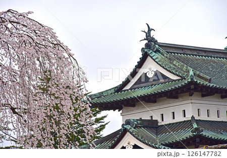 弘前公園 弘前城と桜 弘前公園 弘前城と桜 126147782