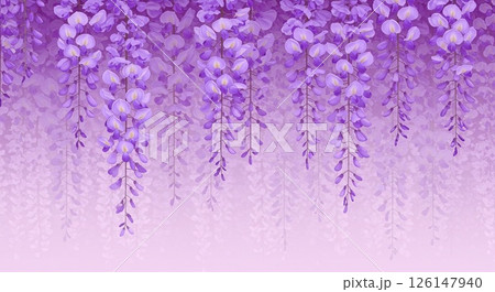 藤の花が美しく垂れ下がる様子と紫色のグラデーション 藤の花が美しく垂れ下がる様子と紫色のグラデーション 126147940