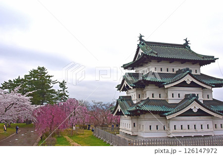 弘前公園 弘前城と桜 弘前公園 弘前城と桜 126147972