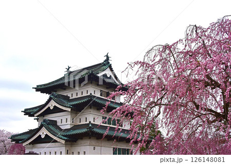 弘前公園 弘前城と桜 弘前公園 弘前城と桜 126148081