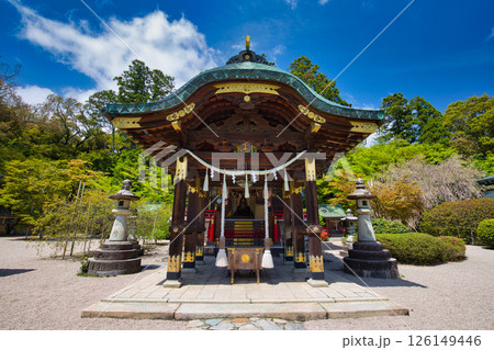 新緑の常宮神社 新緑の常宮神社 126149446