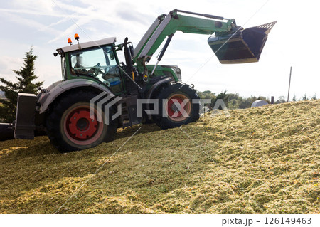 Production of fodder in agricultural complex 126149463