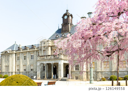 シダレザクラと文翔館 126149558