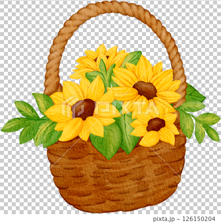Sunflower basket for summer picnic 126150204
