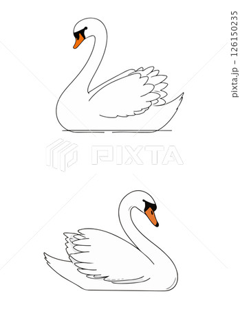 Two White Swans 126150235