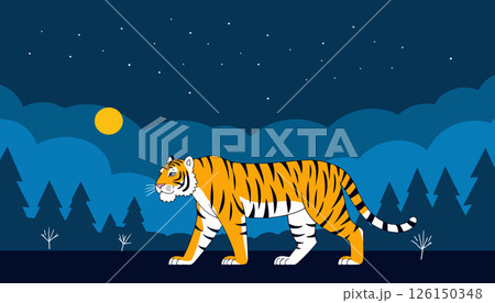 Tiger at Night 126150348