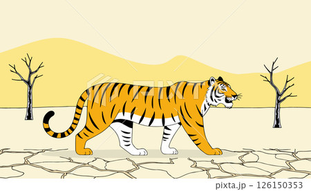 Tiger in a Dry Landscape Tiger in a Dry Landscape 126150353