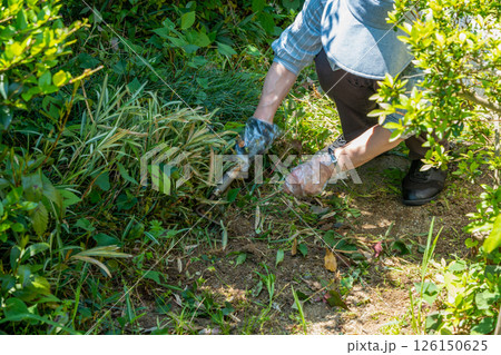 雑草はびこる庭の草取り作業する女性 126150625
