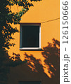 Window on Orange Wall with Tree Shadows 126150666