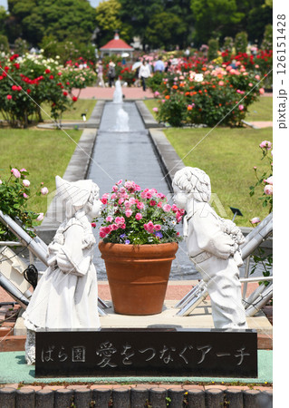 薔薇満開の敷島公園バラ園 126151428