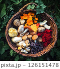 Autumn Harvest of Wild Mushrooms and Berries 126151478