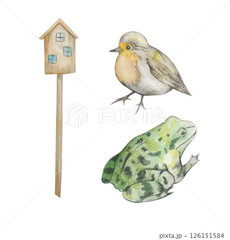 frog bird house watercolor set 126151584