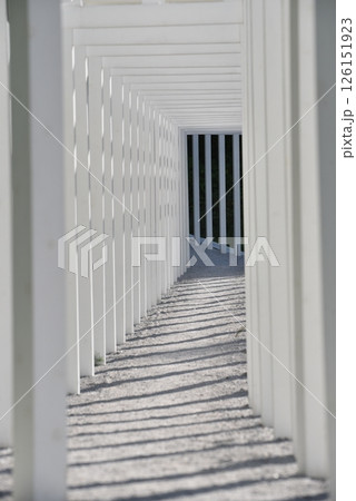 岡山県の済渡寺、白い鳥居 126151923