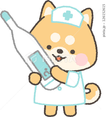 体温計を持つ茶色の柴犬の看護師 体温計を持つ茶色の柴犬の看護師 126152615