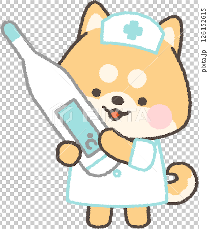 体温計を持つ茶色の柴犬の看護師 体温計を持つ茶色の柴犬の看護師 126152615