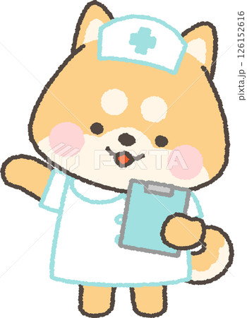 クリップボードを持つ茶色の柴犬の看護師 126152616