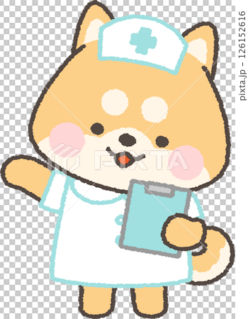 クリップボードを持つ茶色の柴犬の看護師 126152616