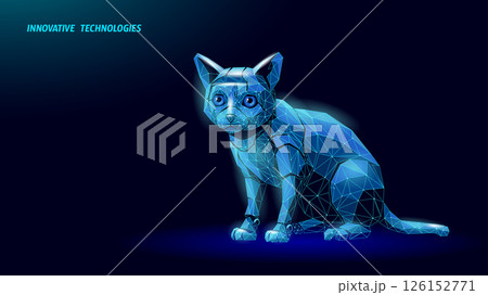 Robot cat low poly illustration. Polygonal feline artificial intelligence animal art. Technology science robotics pet design. Dark blue geometric background low poly style vector Robot cat low poly illustration. Polygonal feline artificial intelligence animal art. Technology science robotics pet design. Dark blue geometric background low poly style vector 126152771
