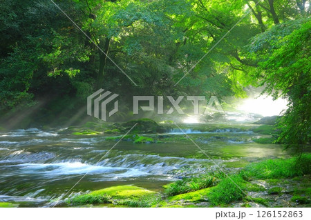 光さす新緑の菊池渓谷（菊池市） 126152863