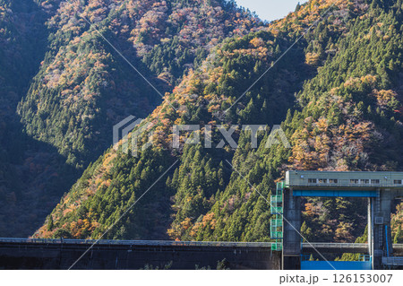 豊根村の新豊根ダムの紅葉に包まれたみどり湖の風景(愛知県) 豊根村の新豊根ダムの紅葉に包まれたみどり湖の風景(愛知県) 126153007