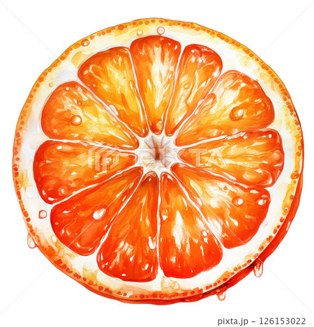 ジューシーフレッシュな柑橘類、みかん、オレンジのイラスト素材 126153022