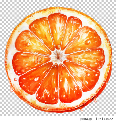 Juicy fresh citrus fruits, mandarins, oranges illustration material 126153022