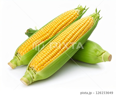 Fresh yellow corn over white background 126153649