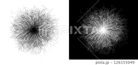 Abstract background with lines in chaos like fireworks. A black figure on a white background and the same white figure on the black side. Abstract background with lines in chaos like fireworks. A black figure on a white background and the same white figure on the black side. 126155049