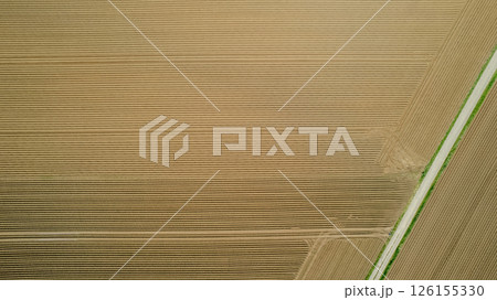 Aerial View of Serene Agricultural Fields Featuring Distinct Patterns and Textures Below 126155330