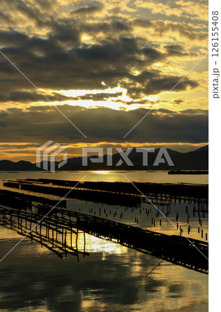 牡蠣養殖が盛んな瀬戸の海 (東広島市安芸津町) 牡蠣養殖が盛んな瀬戸の海 (東広島市安芸津町) 126155408