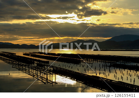 牡蠣養殖が盛んな瀬戸の海 (東広島市安芸津町) 126155411