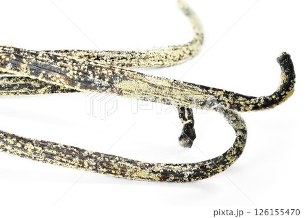 White / yellow mould or mildew growing on vanilla sticks stored improperly in wet and cold fridge - close up detail photo isolated on white background 126155470