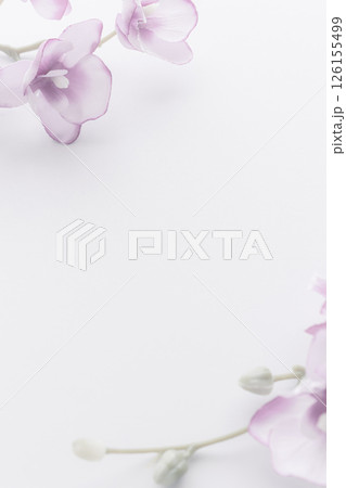 喪中はがき 胡蝶蘭 喪中はがき 胡蝶蘭 126155499