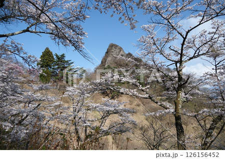 群馬県 下仁田町 妙義山 さくらの里の桜と金鶏山 2025年4月14日 群馬県 下仁田町 妙義山 さくらの里の桜と金鶏山 2025年4月14日 126156452