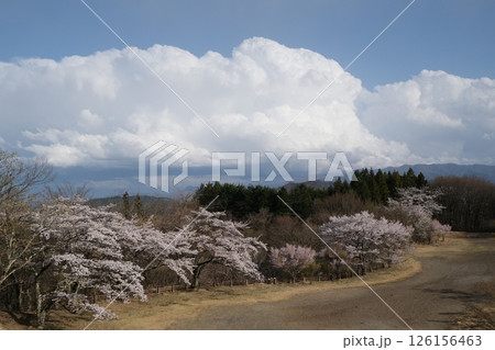 群馬県　下仁田町　妙義山　中之嶽神社の駐車場から第2駐車場方面を見る　2025年4月14日 126156463
