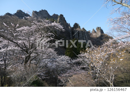 群馬県　下仁田町　妙義山　中之嶽神社の駐車場から妙義山方面を見る　2025年4月14日 126156467