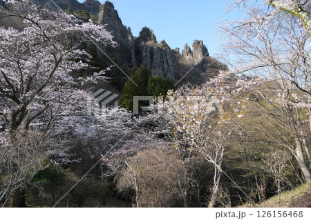 群馬県　下仁田町　妙義山　中之嶽神社の駐車場から妙義山方面を見る　2025年4月14日 126156468
