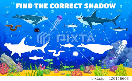 Kids game worksheet, find the correct shadow of sea animals at underwater landscape, cartoon vector. Kids quiz for find same shadow of shark and tuna fish, eel and urchin with jellyfish or seal Kids game worksheet, find the correct shadow of sea animals at underwater landscape, cartoon vector. Kids quiz for find same shadow of shark and tuna fish, eel and urchin with jellyfish or seal 126156608